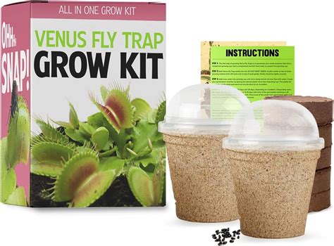 Wellness Tree Venus Fly Trap Seeds Growing Starter Kit All in One India ...