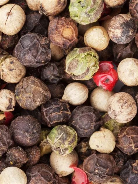 Types of peppercorns and their benefits | Times of India