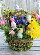 Image result for Easter Bunny Eggs and Flowers Images