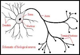 User Manual for the Image Compression
