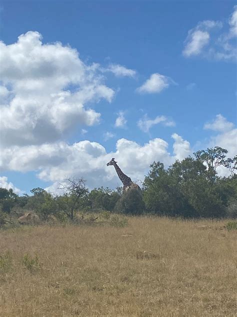 KWANTU PRIVATE GAME RESERVE (South Africa/Eastern Cape) - Guesthouse ...