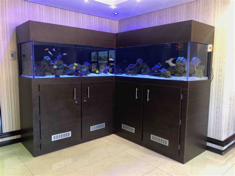 Custom Saltwater Fish Tanks