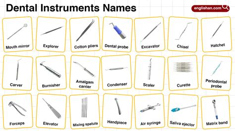 Dental Instruments Names in English with their Pictures
