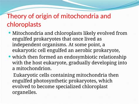 Endosymbiotic.pptx Theories of origin of chloroplast and mitochondria ...