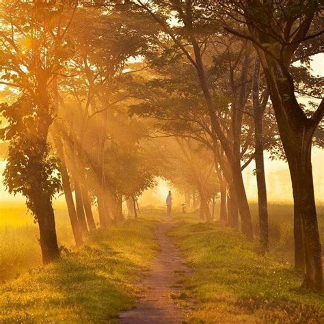 Image result for Random Walk Beautiful