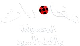ميراكيلوس : الدعسوقة و القط الأسود on Disney+ Egypt | Arabic (Modern ...