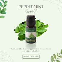The Best Essential Oil for Headache | Buy Peppermint Essential Oil ...