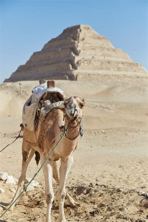 Inside a Step Pyramids 的图像结果