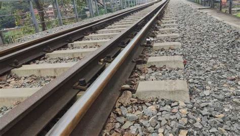一列车在辽宁铁岭与两头野猪相撞导致晚点 原因系野猪误闯火车轨道 - 天气网