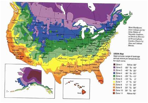 What Can You Plant in Your USDA Plant Hardiness Zone?