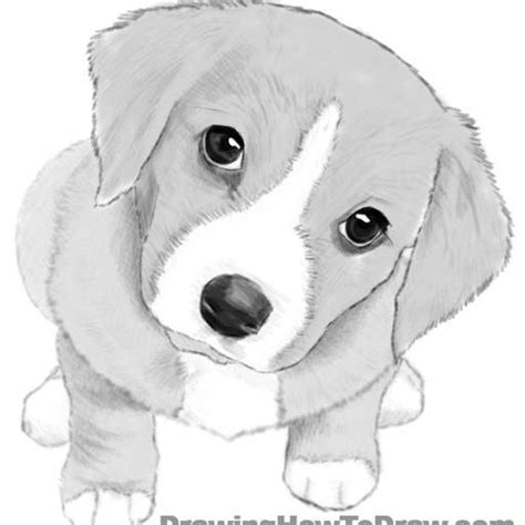 Image result for Drawing Examples Easy