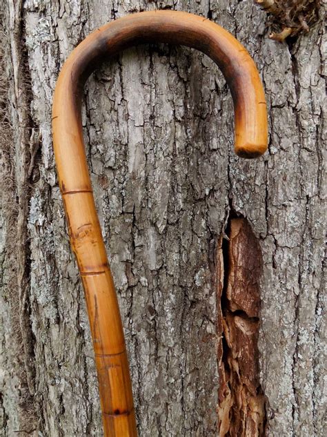 Antique Bamboo Cane at Scott Mcrae blog