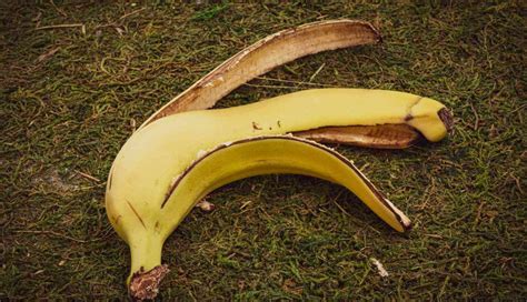 9 DIY Ways To Use Banana Peel for Skin and Hair - lifeberrys.com