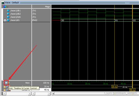 QuestaSim Code Coverage Guide 的图像结果
