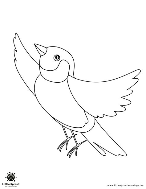 Printable Bird Colouring Pages For Your Child
