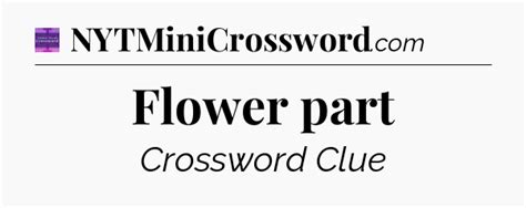 Flower part crossword clue Thomas Joseph