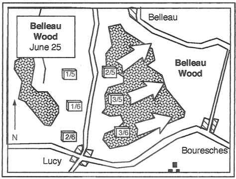 Saving Paris: U.S. Marines at Battle of Belleau Wood | War History Online