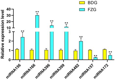 Small RNA-Seq to Unveil the miRNA Expression Patterns and Identify the ...