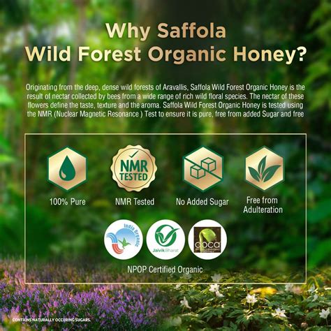 Buy Saffola Wild Forest Organic Honey 500g - Saffola Stores