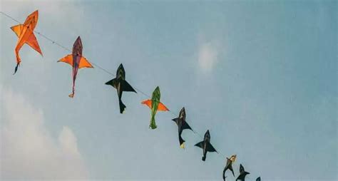 Kite Flying & High Tea In Old Delhi | WhatsHot