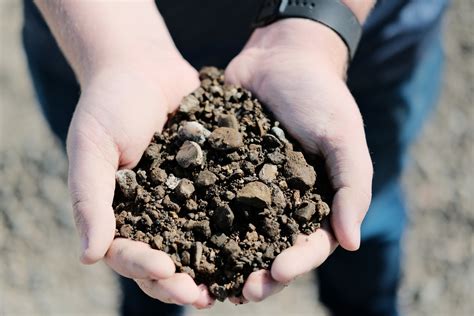 Aggregate Base Uses 的图像结果