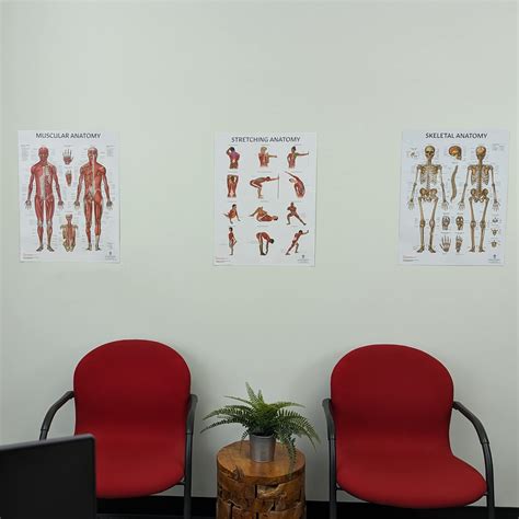 Anatomy Lab Stretching Muscular And Skeletal Human Anatomy Poster Set ...
