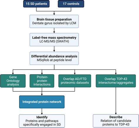 Image result for Brain Tissue Sample
