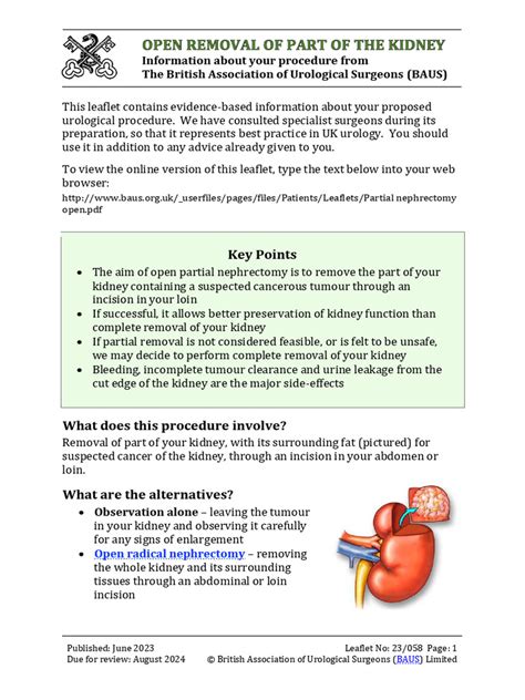 Image result for Open Nephrectomy Procedure
