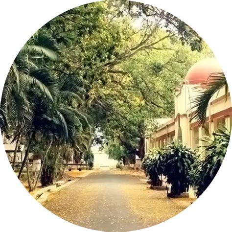 Home | Central Institute of Psychiatry Ranchi, Ministry of Health and ...