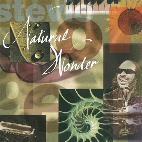 Natural Wonder: Stevie Wonder: Amazon.in: Music}