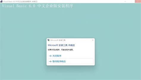 Visual Basic 6.0 Software 的图像结果