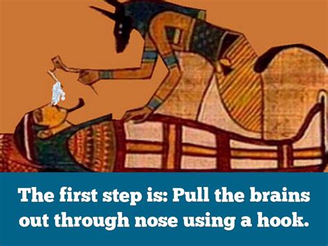 Image result for First Mummification