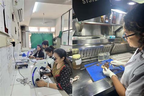 SMIMER - Photo Gallery of Pathology Department