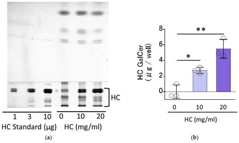 Horse-Derived Ceramide Accentuates Glucosylceramide Synthase and ...