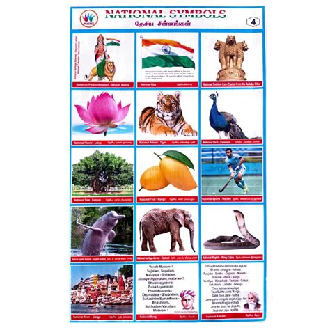 National Symbols School Project Chart Stickers - Clickere
