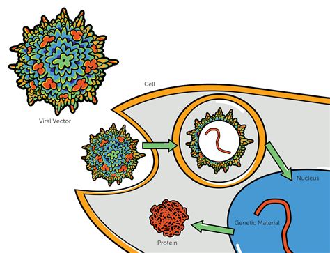 Gene Vector 的图像结果