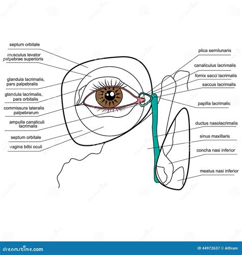 Image result for Software Module Chart