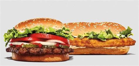 Image result for Coding Only in C Programming Language