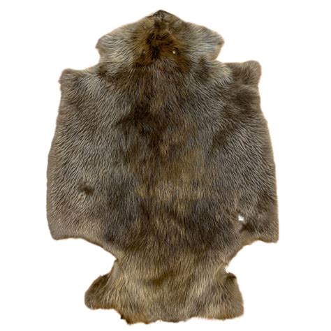 Beaver Fur