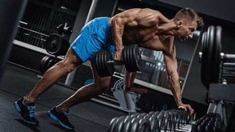 Muscle Development Workout 的图像结果