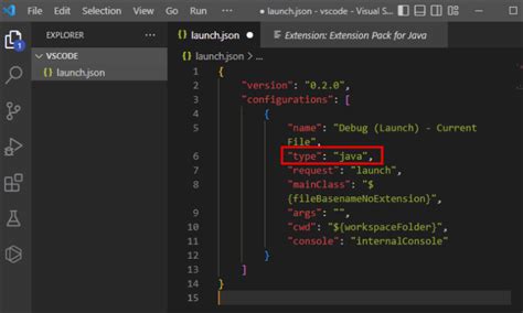 Launch JSON vs Code 的图像结果