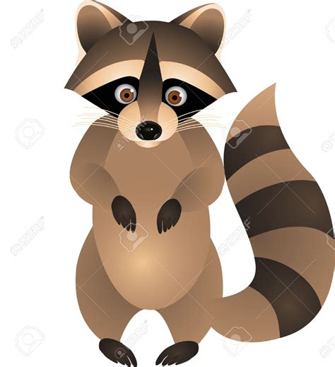 Raccoon Clip Art & Raccoon Clip Art Clip Art Images - HDClipartAll