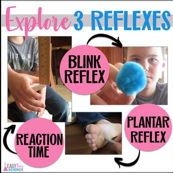 Image result for Reaction Time Activity Drawing