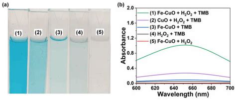 Chemistry | Special Issue : Functional Biomolecule-Based Composites and ...