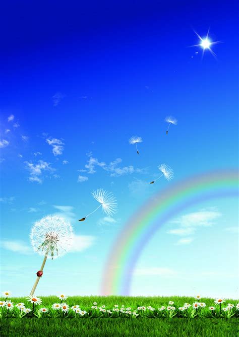 蓝天草地彩虹背景图,高清图片,免费下载 - 绘艺素材网