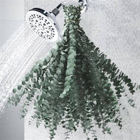 Amazon.com: 21 PCS Dried Eucalyptus for Shower Bundle, 17'' Real Large ...