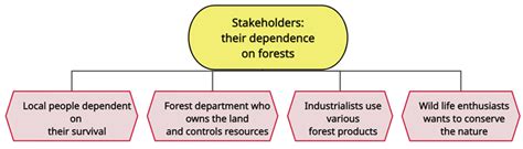 Concept map — lesson. Science CBSE, Class 10.