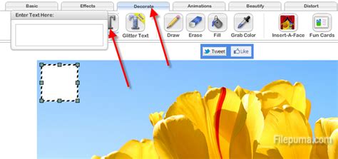 Image result for Add Text to Pictures with Heic Extension On Computer