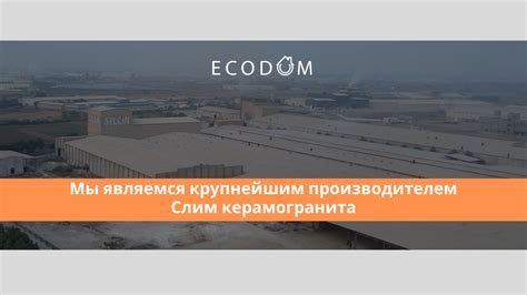 EcoDom