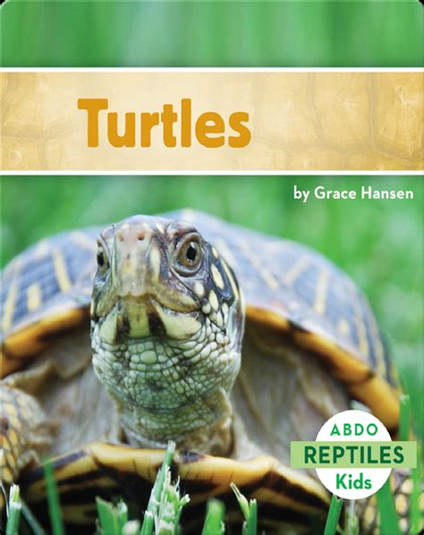 Turtles Book by Grace Hansen | Epic